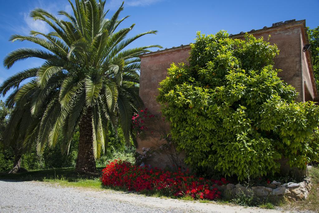 Agriturismo L'isola Crespina Habitación foto